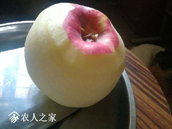 225432jtab6byu9rjjb9p7.jpg