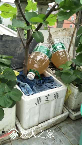 IMG20170519073506.jpg
