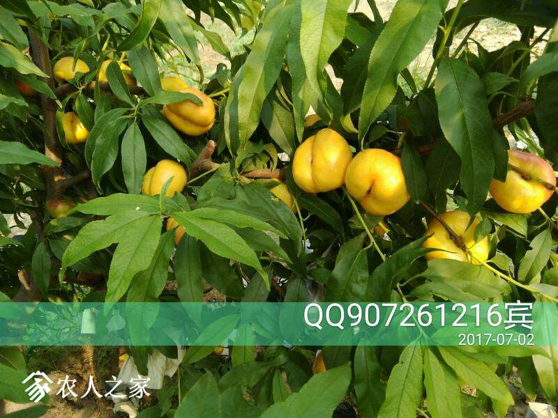 075855qguu56u66rpgto9i.jpg
