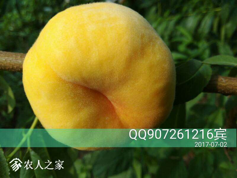 080352pqdxqd4ndvdqdcqa.jpg