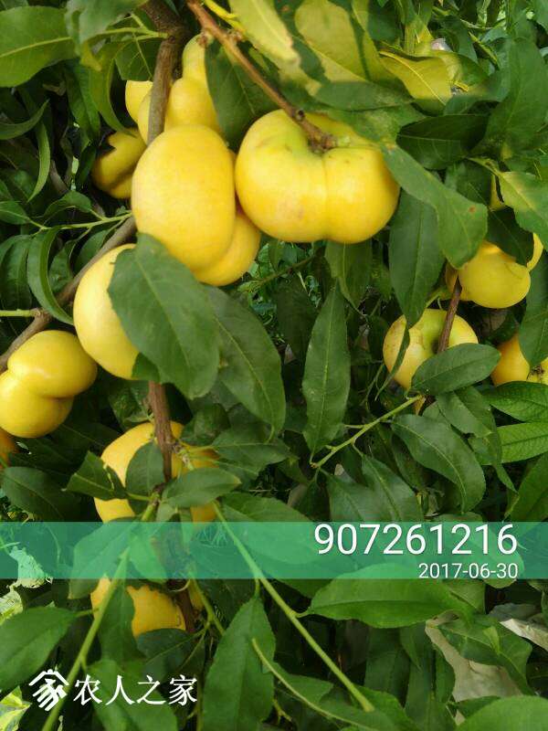 082153exeievo22fhviexe.jpg