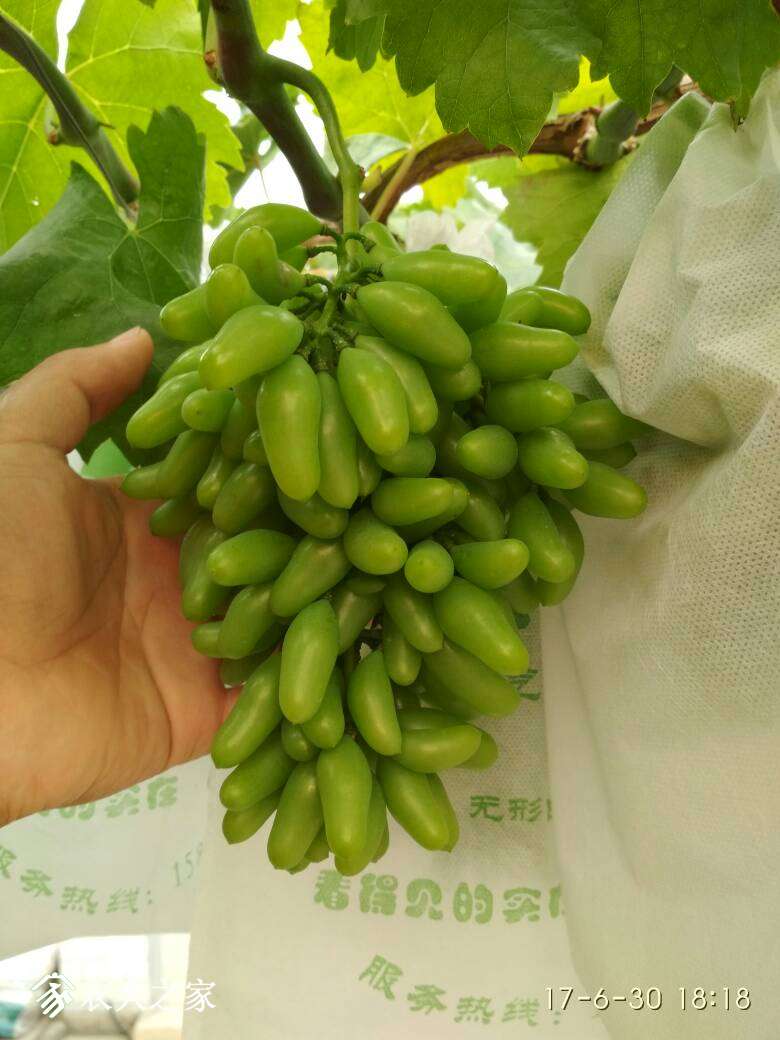 154147uevfmaiy8qawemm8.jpg