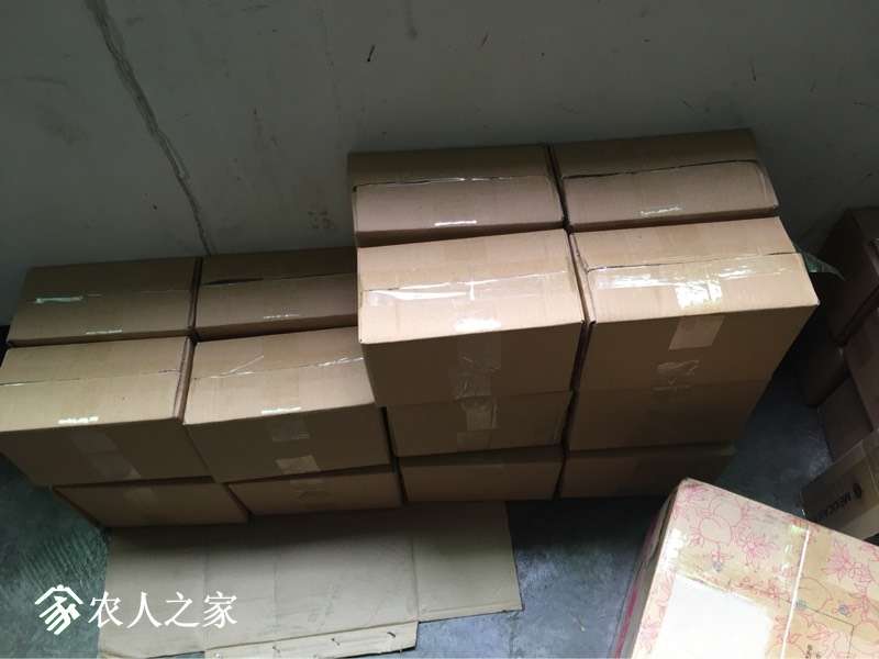 181918xiprp5pwe6p8k2wm.jpg