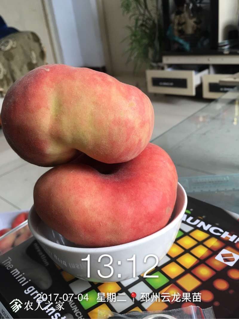 112340n12ojvjghfk4huuz.jpg
