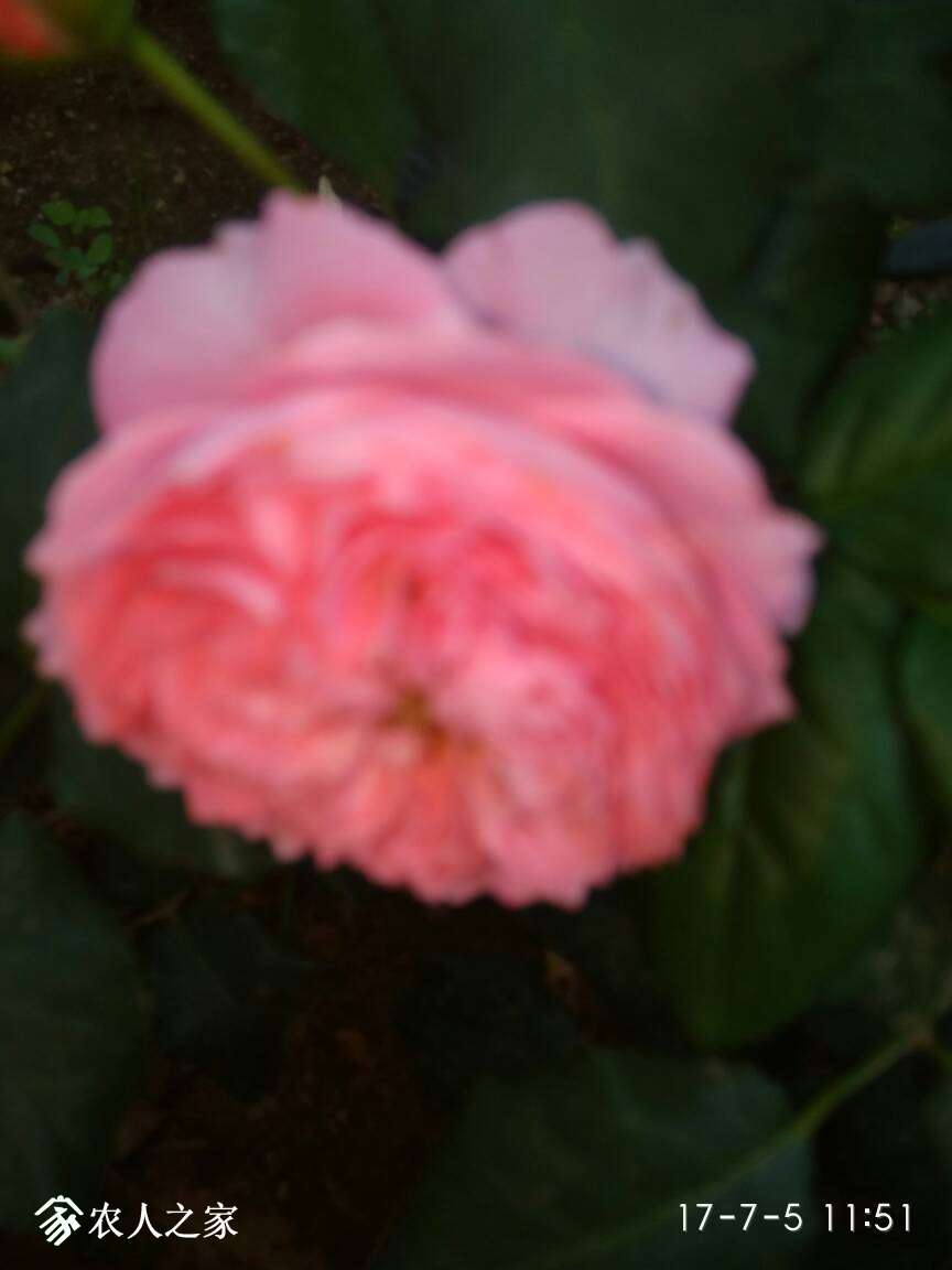 120001j33bhnyhn223hx9y.jpg