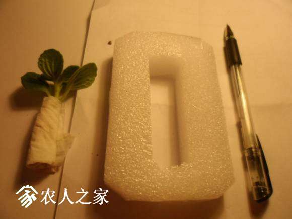 182839d7otkx1ld8xn58po.jpg
