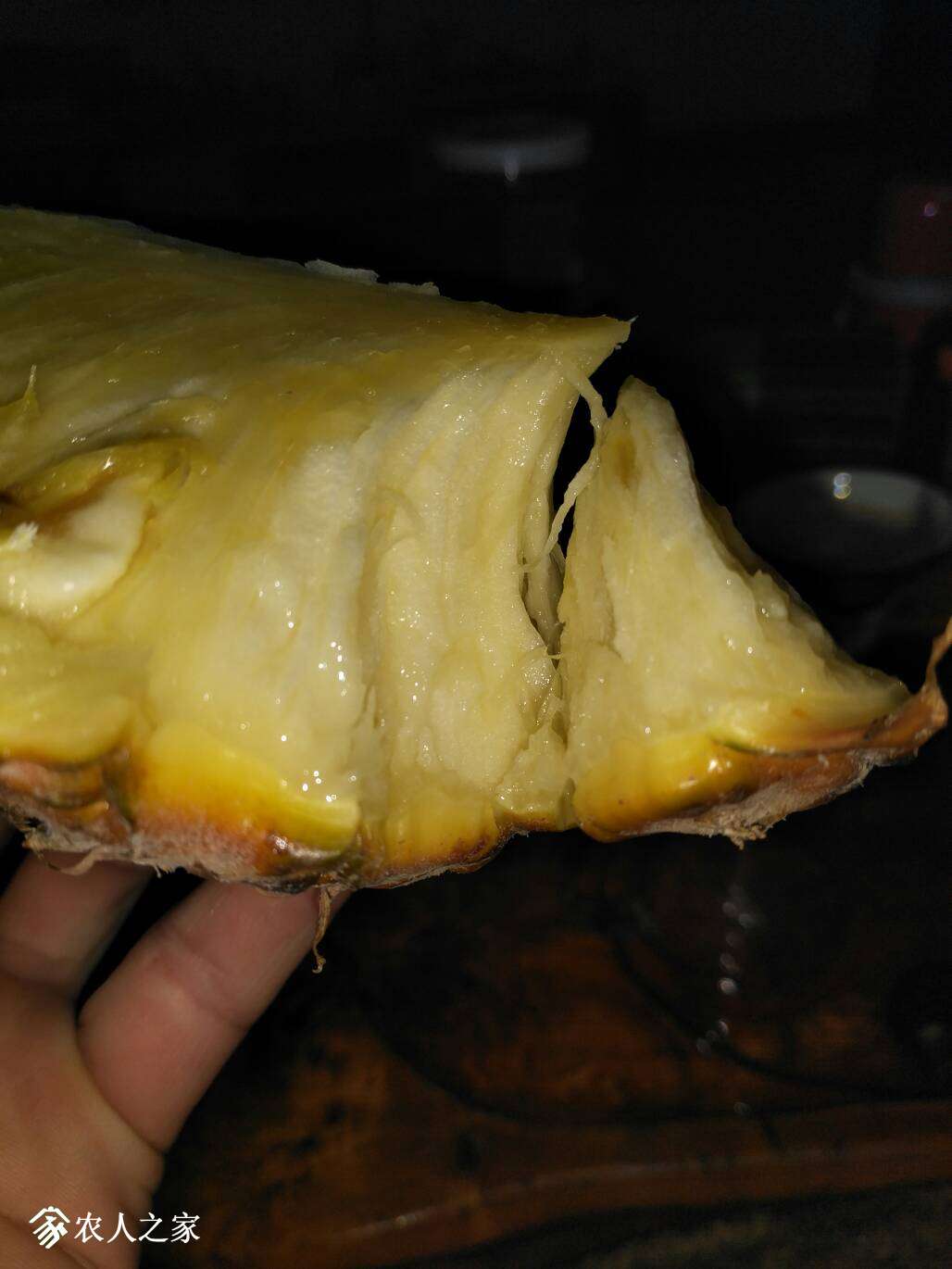 225151orunntbsszuuusbc.jpg