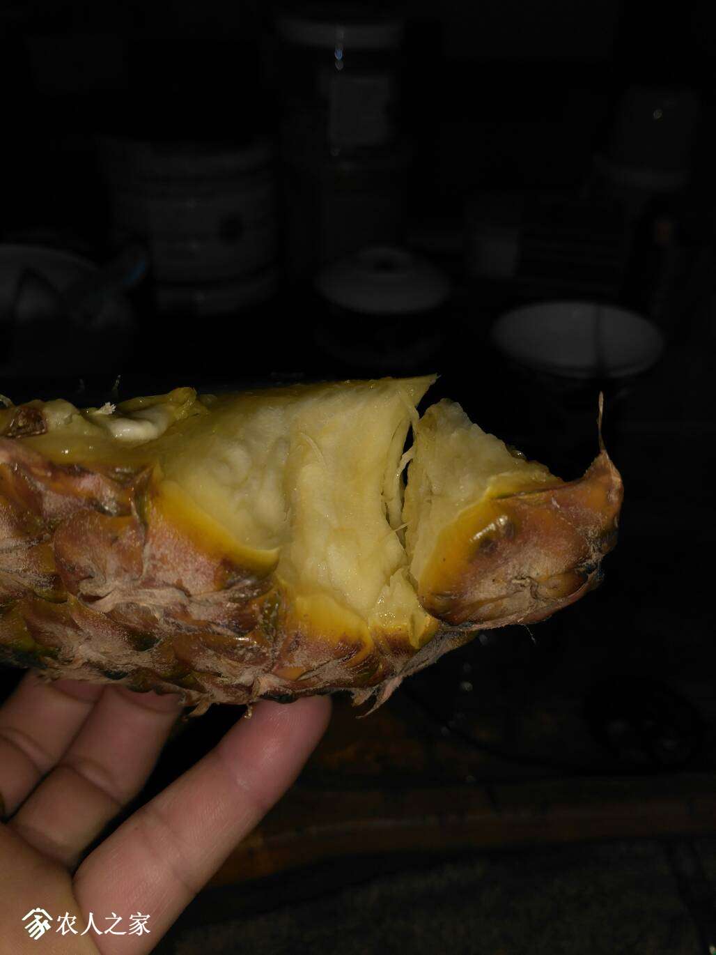 225151zoiriiy5ywkrgzi2.jpg