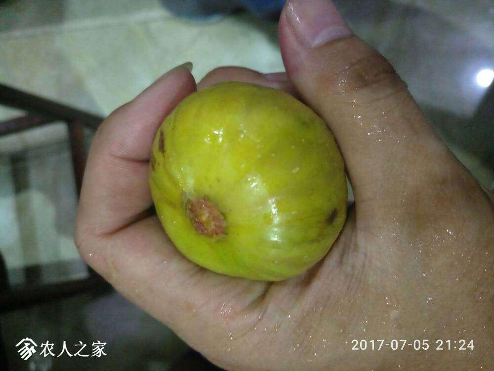 235509tkkkow0aor10dkok.jpg