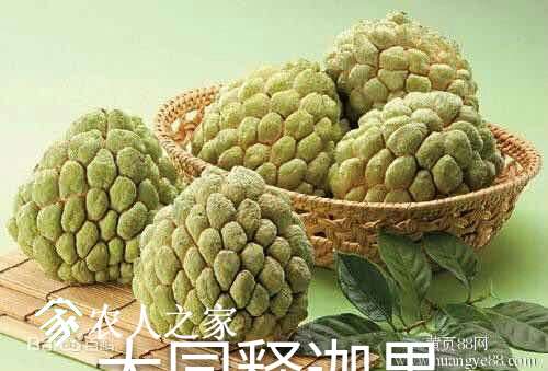 001015tzxnaepr1p8pl8xn.jpg