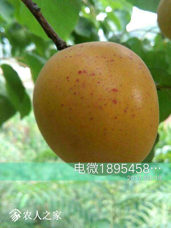 145445anxs6nxz22mll36o.jpg