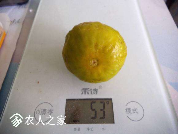 DSCF4753.JPG