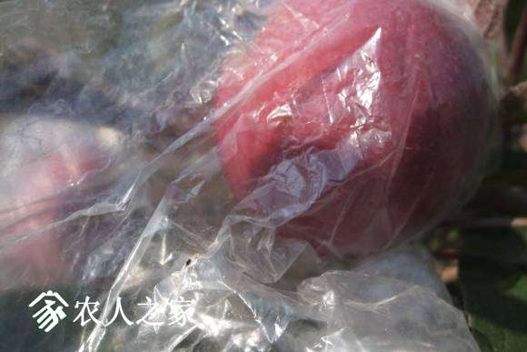 17С 065.jpg