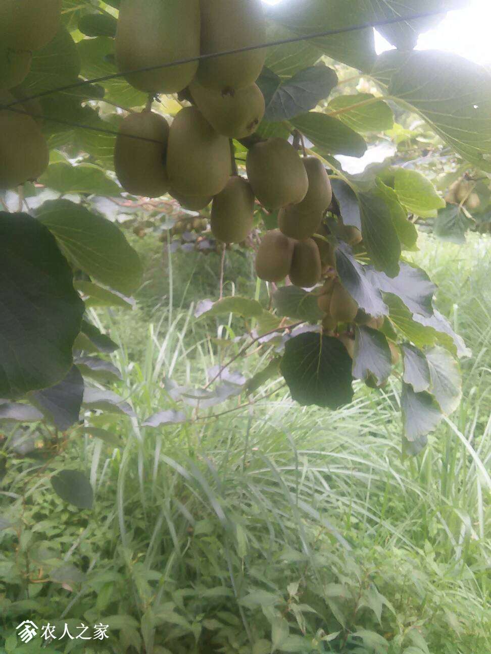 122657ejkzqmd0jxak2ktm.jpg