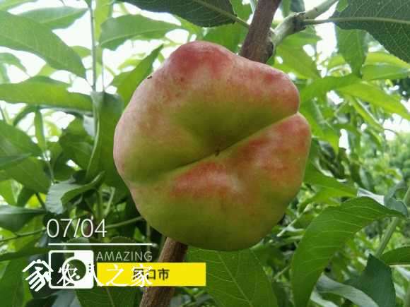 IMG_20170704_103841.jpg