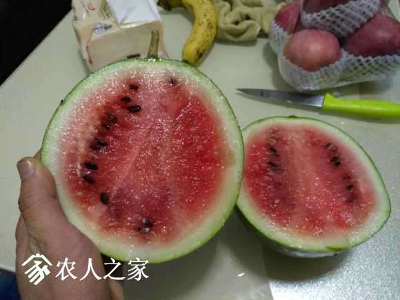 IMG_20170707_192323.jpg