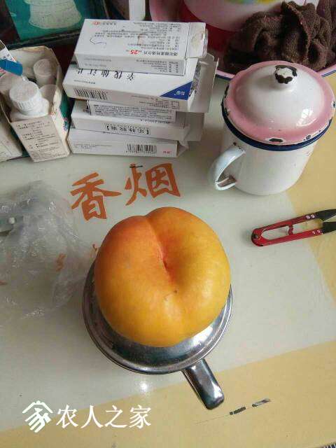 011303vklj4c9jzjqqllxo.jpg