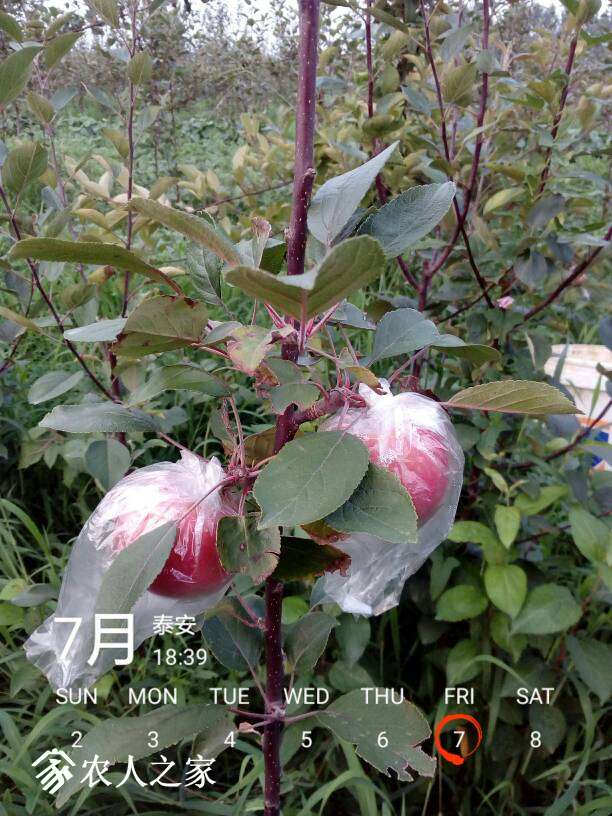 181503ju4hngadgip7bu4m.jpg