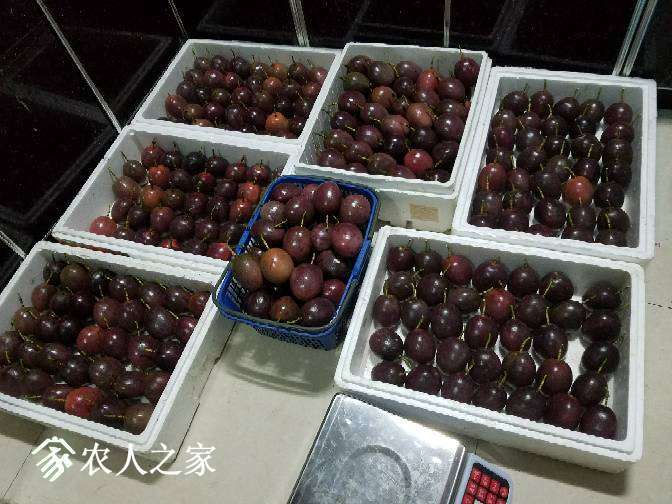 213449seuyusekkgj33sms.jpg