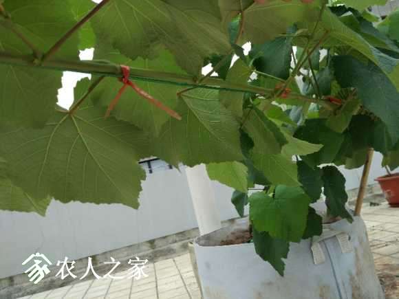 IMG_20170707_174259.jpg