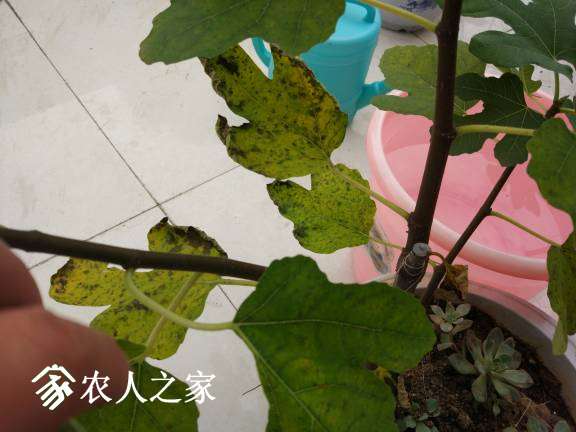 154132f4ynzcn4wp452404.jpg