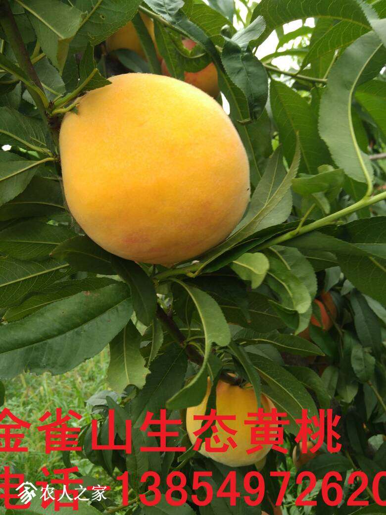 230732u4o4a0pr8nsmg4se.jpg