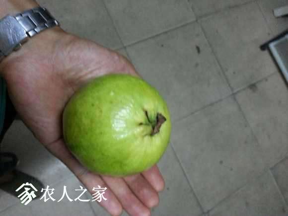 20170709_205554.jpg