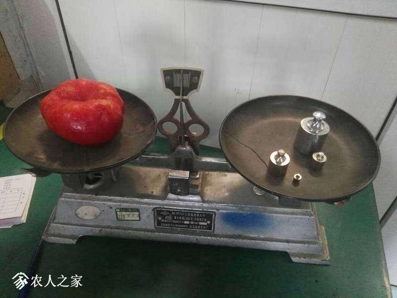 110325i78xmpme3pqoz93d.jpg