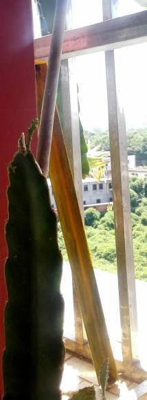 IMG_20170711_101953.jpg