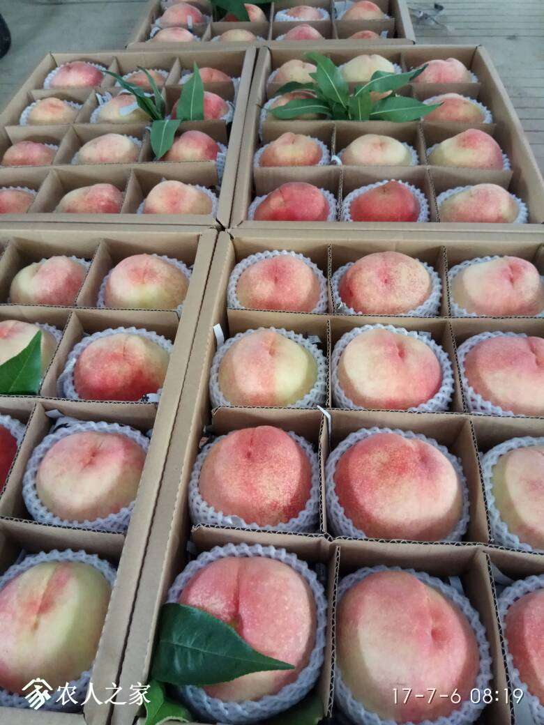 123608f72lddi0hiildi71.jpg