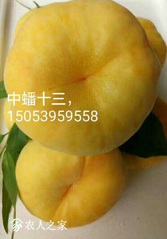202931jll0l2l6ny2kbnsh.jpg