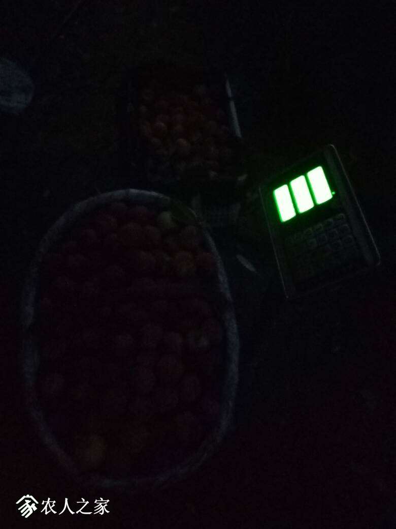 211115hu63yadyuyqgruuw.jpg