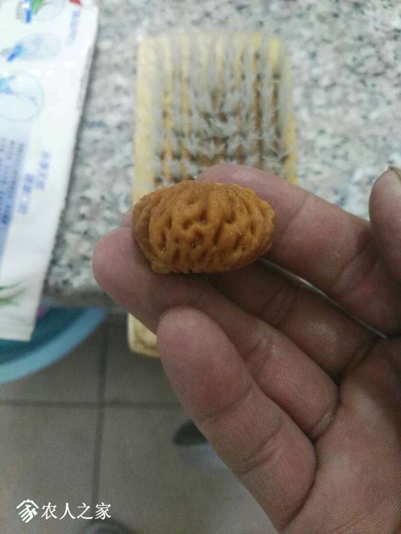 222502da9xjvjl0y7aolex.jpg