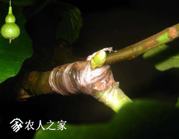 IMG_9859.jpg