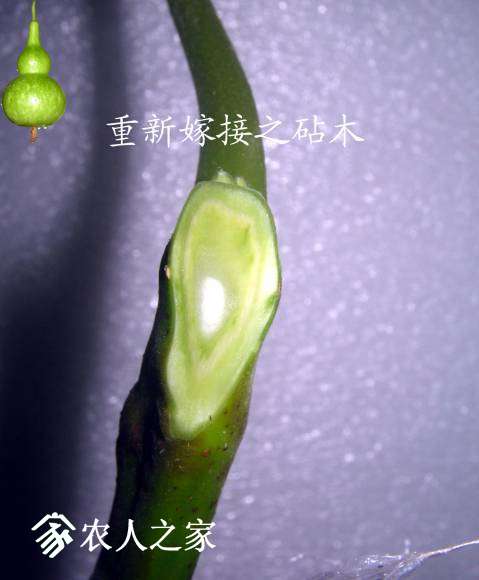 IMG_8766.jpg