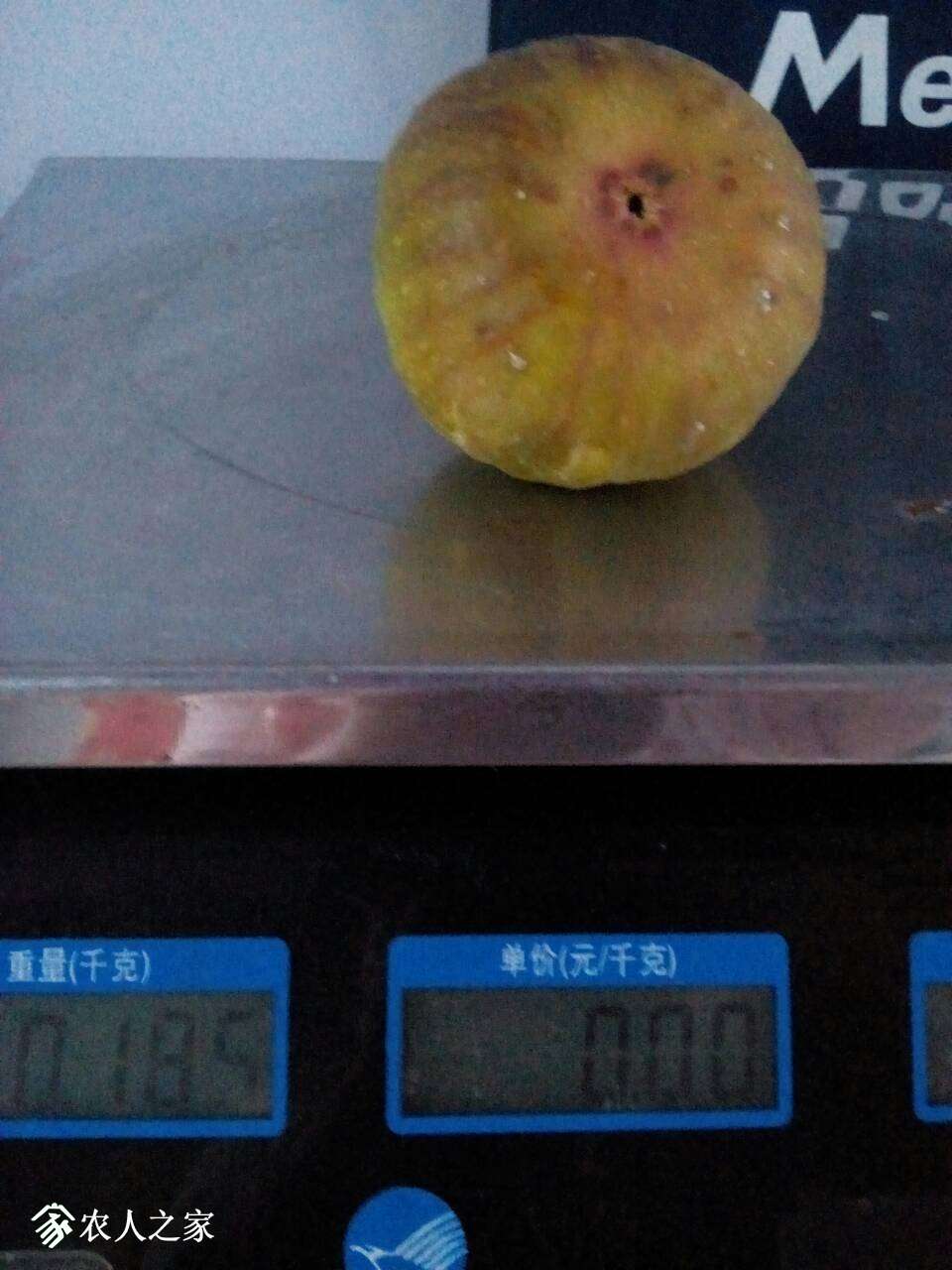 105934bmli4kqqybdhyt2h.jpg