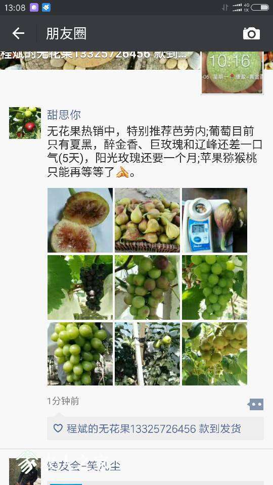 140532xt8rzigg7a1razhn.png