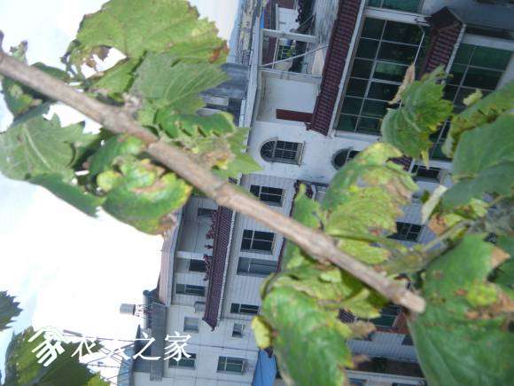 DSCF2457.JPG