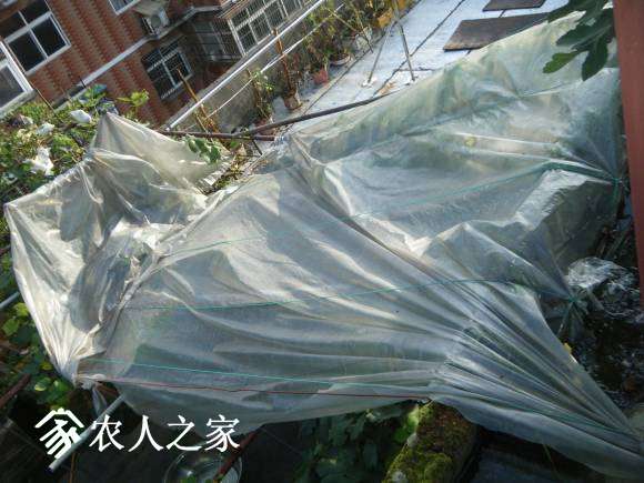 DSCF2477.JPG