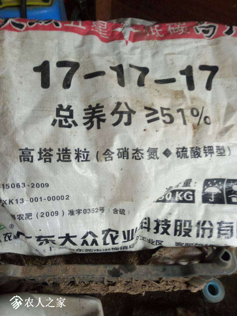 004359n7yiyjp2j7awooji.jpg