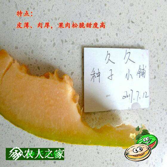 011337c2ok8gojokt8ugum.jpg