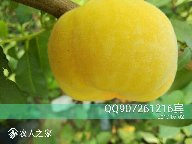 093956o3ly8x0glg9xsu8a.jpg