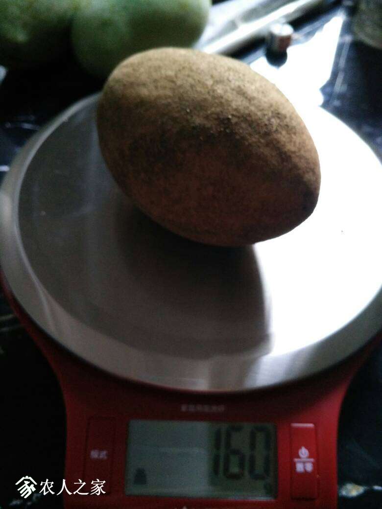 161233ekcifplcmdfxmglr.jpg