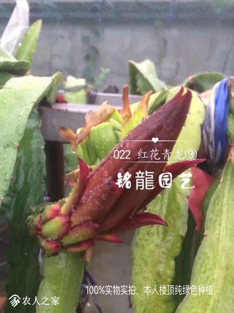 231258ywhahw7677l5s78w.jpg