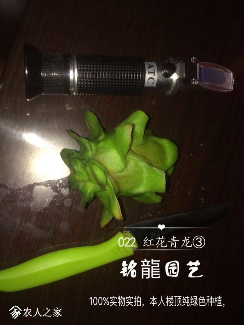 231303zl87da1l1mxca8mc.jpg