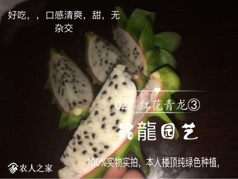 231306h1jkh8rhbzvjynnj.jpg
