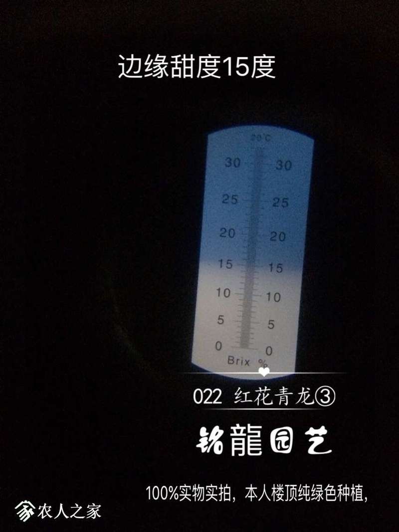 231306zpqap2g566ny2g62.jpg