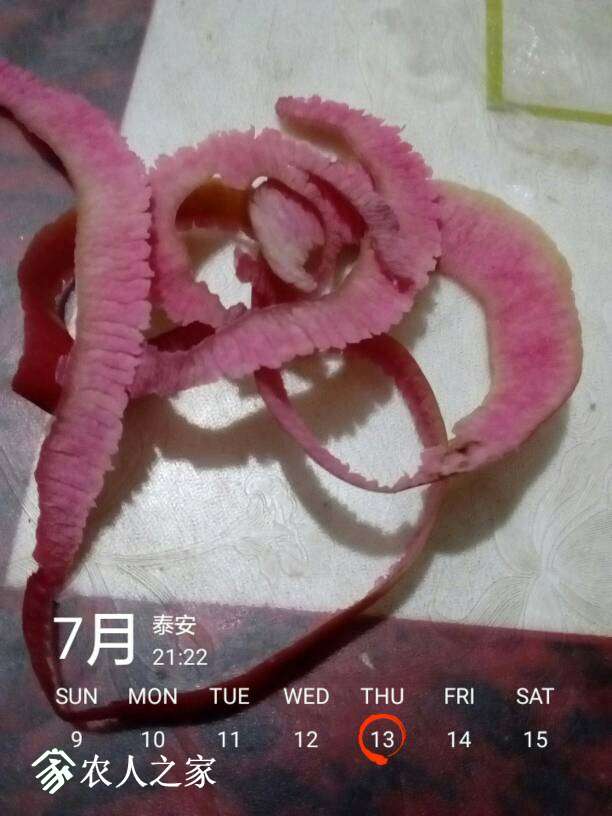 231619tk9xaxqs9kagnmja.jpg