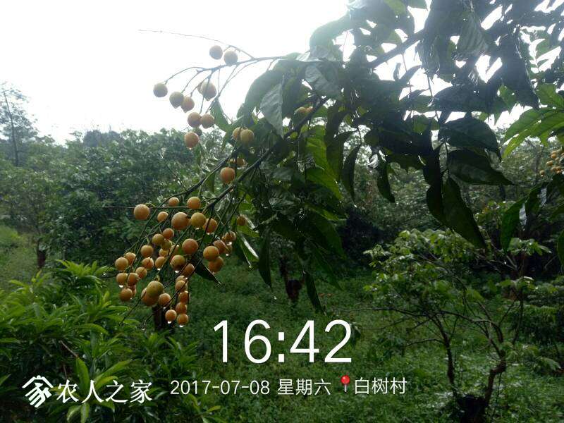 001525rcpcsj3bhu3z42hh.jpg