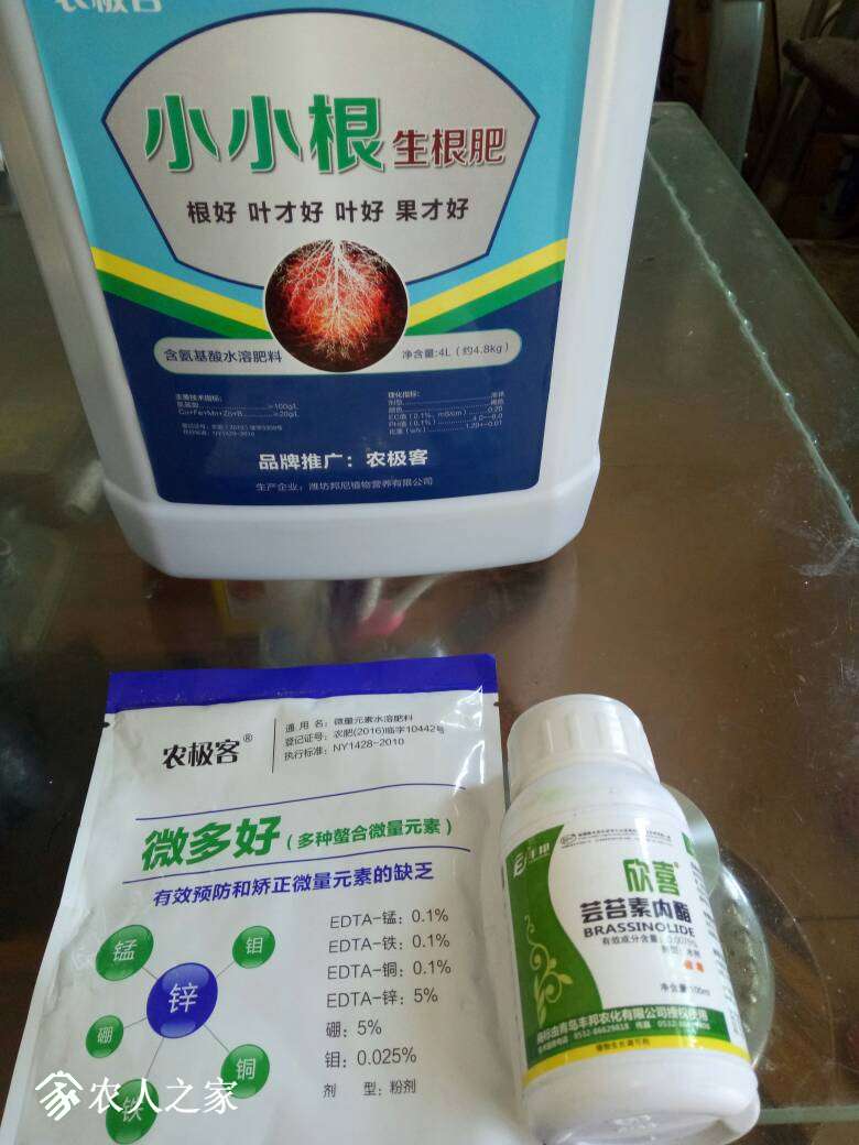 115510j300shqb3ji0ibmb.jpg